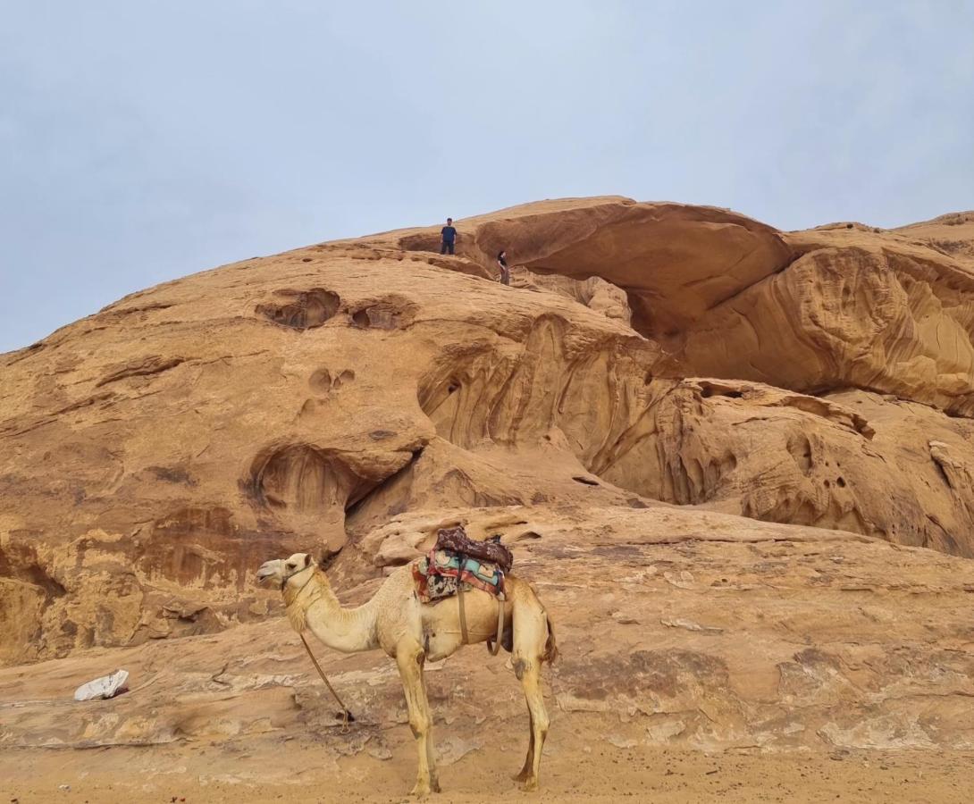 Wadi Rum Hugo Camp Εξωτερικό φωτογραφία