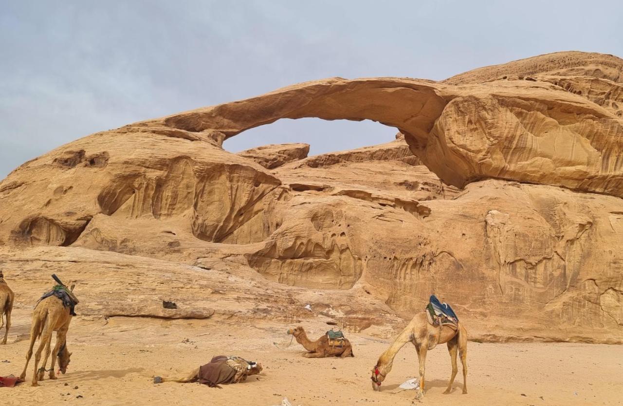 Wadi Rum Hugo Camp Εξωτερικό φωτογραφία